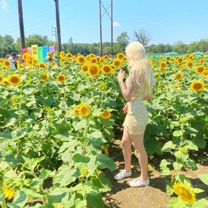 Meet your Posher, Lilly